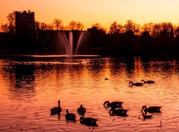 Golden hour in Hackney, where every corner tells a story and the city’s charm shines brighter than ever. From iconic landmarks to hidden gems, this vibrant place never fails to inspire and amaze✨🏙️ #LondonLove #CityOfDreams