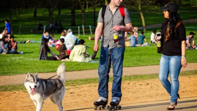 Did you know our homes are Pet friendly? 

East Wick + Sweetwater is the perfect place for you and your furry friends to settle down for the evening after a run around in the many local parks. 🐾